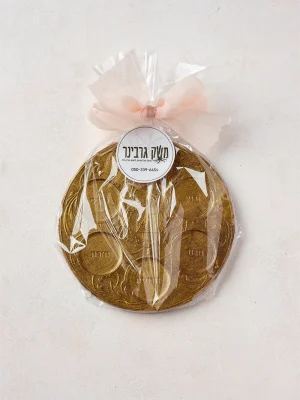 שוקולד בעיצוב צלחת פסח | 110 גרם